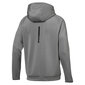 Vyriškas bluzonas Puma Tec Sports FZ Medium Gray XXL kaina ir informacija | Sportinė apranga vyrams | pigu.lt