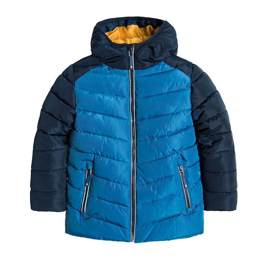 Cool Club žieminė striukė, COB1712852 kaina ir informacija | Žiemos drabužiai vaikams | pigu.lt