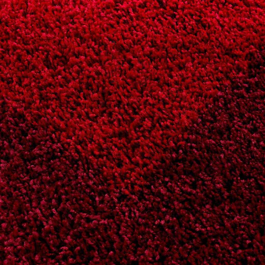 Ayyildiz kilimas LIFE red, 160x230 cm kaina ir informacija | Kilimai | pigu.lt