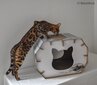 Riga surenkamas kartoninis namelis katėms I Love My Cat, 50x37x35 cm kaina ir informacija | Guoliai, pagalvėlės | pigu.lt
