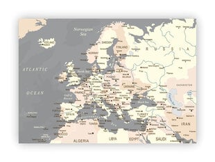 Kamštinis paveikslas - Europos žemėlapis. Pilkas [Kamštinis žemėlapis] цена и информация | Репродукции, картины | pigu.lt