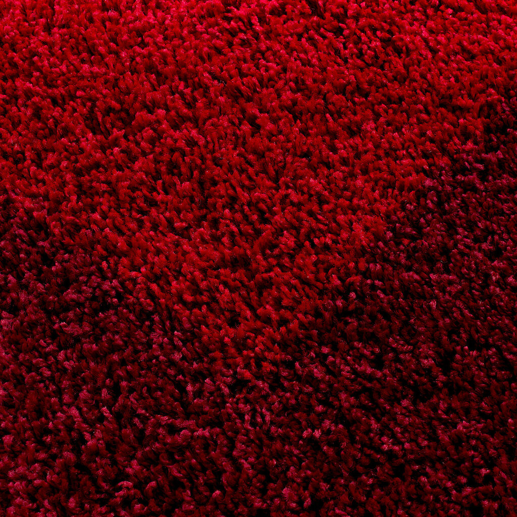 Ayyildiz kilimas LIFE RED, 240X340 cm kaina ir informacija | Kilimai | pigu.lt