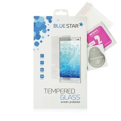 Blue Star защитное стекло экрана, для Apple iPhone Xs Max цена и информация | Google Pixel 3a - 3mk FlexibleGlass Lite™ защитная пленка для экрана | pigu.lt