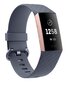 Išmanioji apyrankė Fitbit Charge 3, Blue-Grey/Rose-Gold kaina ir informacija | Išmaniosios apyrankės (fitness tracker) | pigu.lt