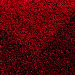 Ayyildiz kilimas LIFE red, 60x110 cm kaina ir informacija | Kilimai | pigu.lt