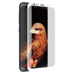 Apsauginis stiklas X-Doria Armor 3D Glass skirtas Samsung Galaxy S8+ цена и информация | Защитные пленки для телефонов | pigu.lt