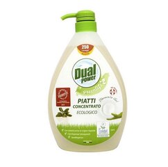 Indų plovimo gelis Dual Power Greenlife, 1000ml kaina ir informacija | Indų plovimo priemonės | pigu.lt