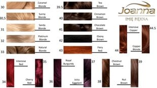 Plaukų dažai Joanna Multi Cream Color 100 ml, 40 Cinnamon Brown цена и информация | Краска для волос | pigu.lt
