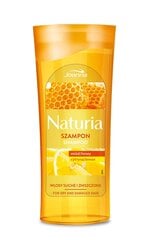 Šampūnas su medumi ir citrina sausiems plaukams Joanna Naturia 100 ml kaina ir informacija | Šampūnai | pigu.lt