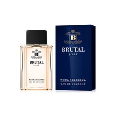 Odekolonas La Rive Brutal Grand EDC vyrams 100 ml kaina ir informacija | La Rive Kvepalai, kosmetika | pigu.lt