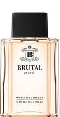 Odekolonas La Rive Brutal Grand EDC vyrams 100 ml kaina ir informacija | La Rive Kvepalai, kosmetika | pigu.lt