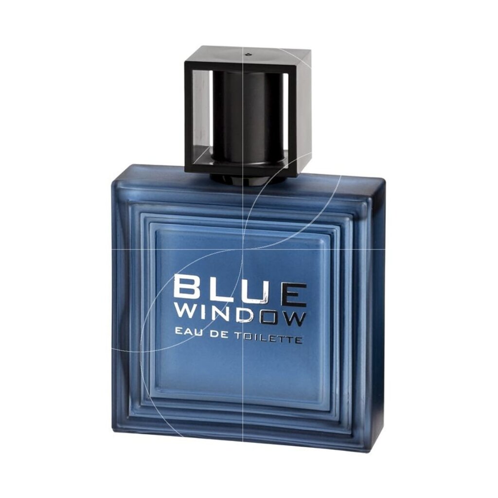 Tualetinis vanduo Linn Young Blue Window EDT vyrams 100 ml цена и информация | Kvepalai vyrams | pigu.lt