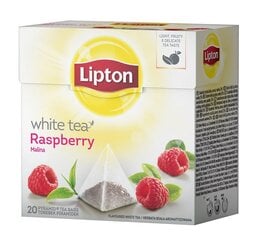 Белый чай Lipton, 20 шт. цена и информация | Чай | pigu.lt