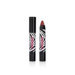 Карандаш для губ Sisley Phyto Lip Twist 09 Chestnut, 2,5г цена и информация | Sisley Духи, косметика | pigu.lt