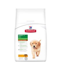 Hill's Science Plan Puppy Healthy Development Large Breed сухой корм для щенков с курицей, 16 кг цена и информация |  Сухой корм для собак | pigu.lt