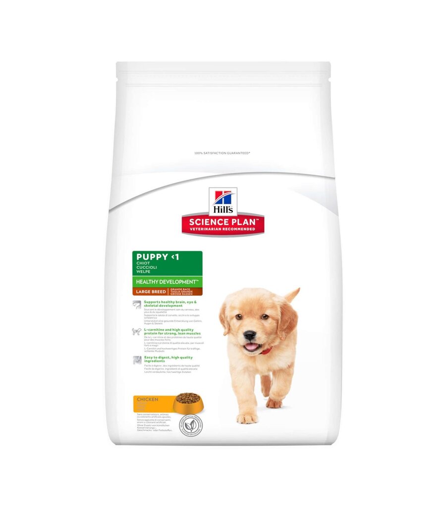 Hill's Science Plan Puppy Healthy Development Large Breed sausas maistas šuniukams su vištiena, 16 kg цена и информация | Sausas maistas šunims | pigu.lt