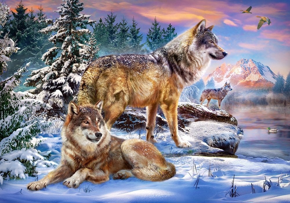 Dėlionė Castorland Wolfish Wonderland, 500 d. цена и информация | Dėlionės (puzzle) | pigu.lt