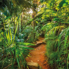Jungle Trail цена и информация | Фотообои с инструментом и клеем - Бежевые листья эвкалипта, 400x280 см | pigu.lt