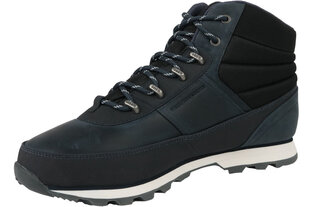 Helly Hansen ботинки мужские Woodlands 10823-598, синие цена и информация | Мужские кроссовки | pigu.lt