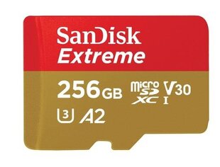 SanDisk Extreme 256GB Memory Card kaina ir informacija | Atminties kortelės telefonams | pigu.lt