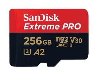 Atminties kortelė SanDisk SDSQXCZ-256G-GN6MA kaina ir informacija | USB laikmenos | pigu.lt