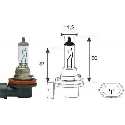 Magneti Marelli H11 12V/55W lemputė 1vnt kaina ir informacija | Automobilių lemputės | pigu.lt