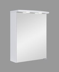 Подвесной шкаф для ванной комнаты Bruno, 50x62x24 см, белый цена и информация | Шкафчики для ванной | pigu.lt