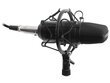 Microphone Tracer STUDIO PRO TRAMIC46163 (black color) цена и информация | Mikrofonai | pigu.lt