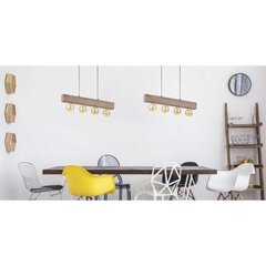 TK Lighting pakabinamas šviestuvas Artwood 2665 kaina ir informacija | Pakabinami šviestuvai | pigu.lt