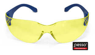 Apsauginiai akiniai Pesso ASCRACK kaina ir informacija | Galvos apsauga | pigu.lt