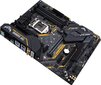 ASUS TUF Z390-PLUS GAMING WI-FI цена и информация | Pagrindinės plokštės | pigu.lt