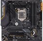 ASUS TUF Z390M-PRO GAMING kaina ir informacija | Pagrindinės plokštės | pigu.lt