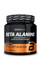 Biotech Beta Alanine 300 г. цена и информация | Аминокислоты | pigu.lt