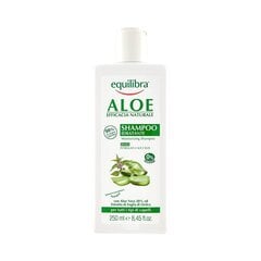 Drėkinamasis plaukų šampūnas Equilibra Aloe 250 ml kaina ir informacija | Šampūnai | pigu.lt