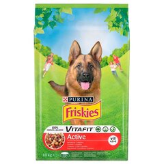 Purina Friskies aktyviems šunims Vitafit Active, 10 kg цена и информация |  Сухой корм для собак | pigu.lt