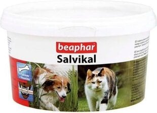 Mineralų ir vitaminų preparatas šunims Beaphar, 250 g kaina ir informacija | Beaphar Gyvūnų prekės | pigu.lt