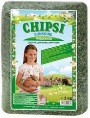 Chipsi Sunshine šienas šinšiloms, 30L kaina ir informacija | Šienas, kraikas graužikams ir triušiams | pigu.lt