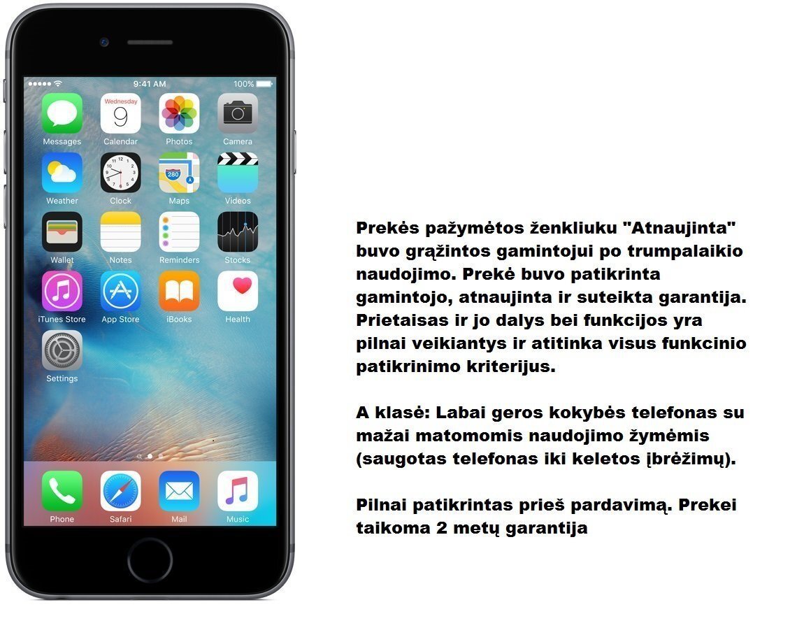 Apple iPhone 6s 64 GB, Pilka (Atnaujinta) Premium Renewd A-klasė kaina ir informacija | Mobilieji telefonai | pigu.lt