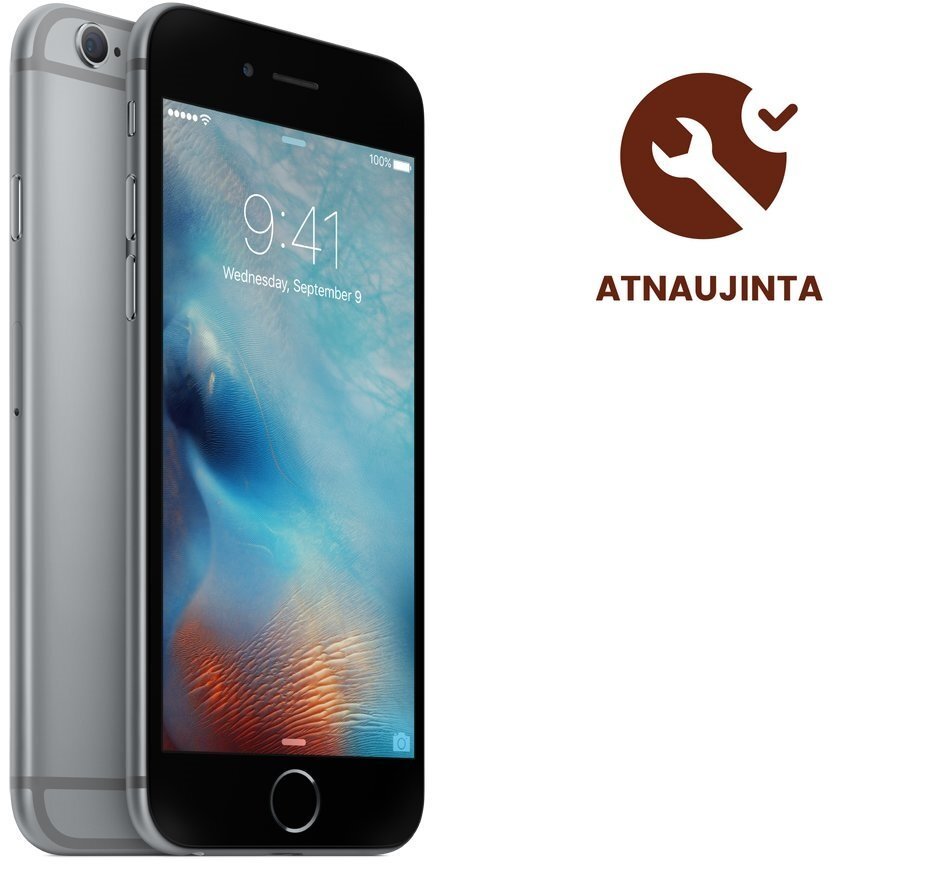 Apple iPhone 6s 64 GB, Pilka (Atnaujinta) Premium Renewd A-klasė kaina ir informacija | Mobilieji telefonai | pigu.lt