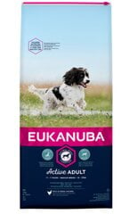 Eukanuba Active Adult Medium Breed su paukštiena, 12 kg kaina ir informacija | Sausas maistas šunims | pigu.lt