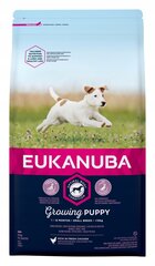 Eukanuba Growing Puppy Small Breed mažos veislės šunims su vištiena, 2 kg kaina ir informacija | Sausas maistas šunims | pigu.lt