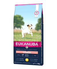 Eukanuba Caring Senior для пожилых собак мелких пород с курицей, 15 кг цена и информация |  Сухой корм для собак | pigu.lt