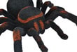 Gigantiškas voras su nuotoliniu valdymu kaina ir informacija | Žaislai berniukams | pigu.lt