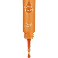 Geliniai skaistalai Bourjois Healthy Mix Sorbet Blush 002 20 ml цена и информация | Бронзеры (бронзаторы), румяна | pigu.lt