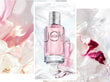 Kvapusis vanduo Christian Dior Joy EDP moterims 50 ml цена и информация | Kvepalai moterims | pigu.lt