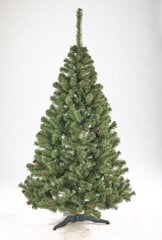 Рождественская елка Liza с шишками 2.5 м цена и информация | Искусственные елки | pigu.lt