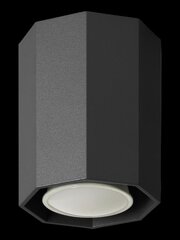 Lampex šviestuvas Okta 10 kaina ir informacija | Lubiniai šviestuvai | pigu.lt
