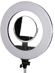 StudioKing LED-480ASK цена и информация | Осветительное оборудование для фотосъемки | pigu.lt