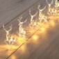 DecoKing girlianda Elniai, 10 LED kaina ir informacija | Girliandos | pigu.lt