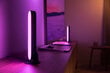 Philips šviestuvų juostų komplektas Hue Play, 2 vnt цена и информация | LED juostos | pigu.lt